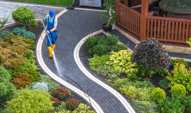 Best Roof Pressure Washing  in Ack, NY